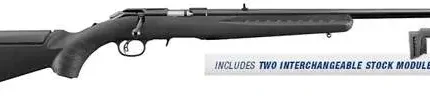 RUGER AMERICAN RIMFIRE STND 17 HMR RFL 22" BLK SYN