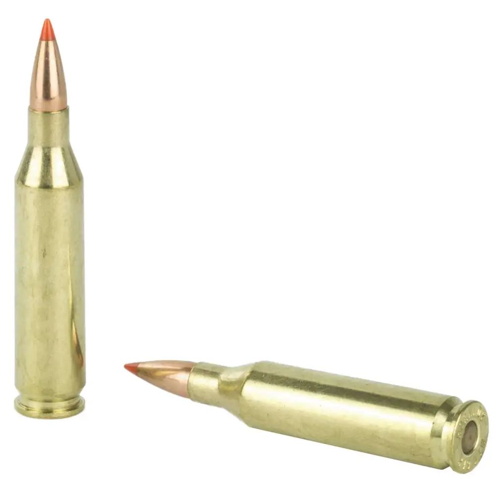 HORNADY CUSTOM LITE 243 WIN 87GR SST 20RD BX 200RD CASE - Image 3