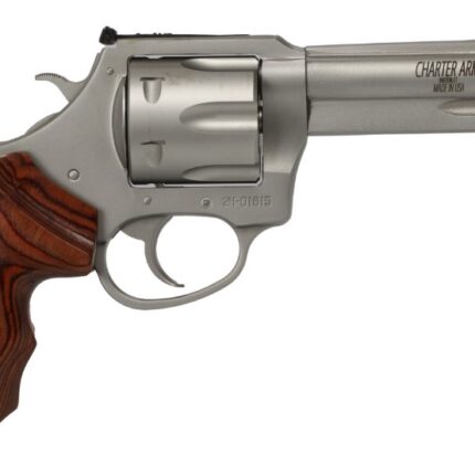 CHARTER ARMS THE PROFESSIONAL 357MAG SS