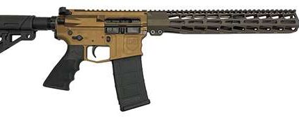 DARK STORM DS15 TYPH STD 556 RFL CH