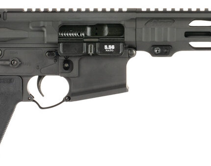 APF 5.56 PISTOL 2.0 10.5 BLK MLOK