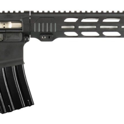 APF VARMINT 2.0 243WIN BLK 18 MLOK PRS LITE