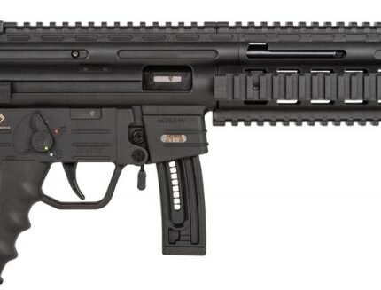 ATI GSG-16 22LR 16 10RD BLK