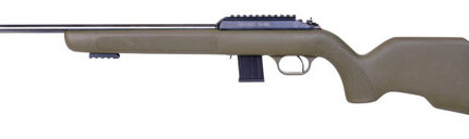 BLG DIANA R-22 22LR CLASSIC ODG