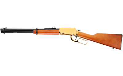 ROSSI RIOBRAVO 22LR 18" 15RD GOLD/HW