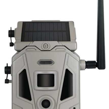 BUS CELLUCORE 20 SOLAR DUAL SIM TAN