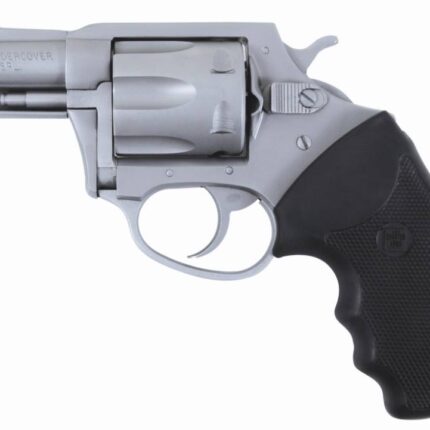 CHARTER ARMS CHARTER POL UNDRCVR 38SP SS 2"