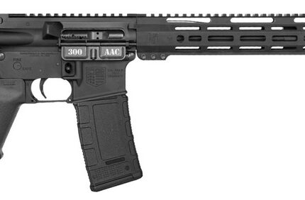 DBF DB15 300BLK 16 MLOK 15 FULL PIC RAIL 30RD