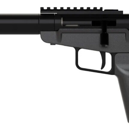 DARK MOUNTAIN ARMS STOW AWAY 9MM 5 TB BRACE