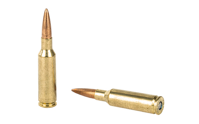 FED GOLD MDL 224VLK 90GR BTHP 20/200 - Image 4