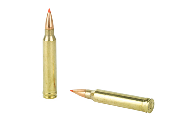 HRNDY SF 300WIN 180GR SST 20/200 - Image 4