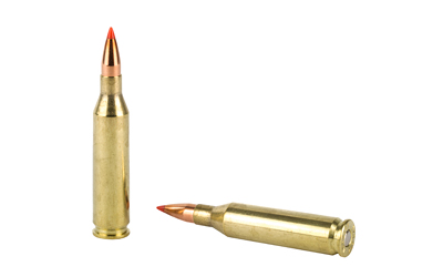 HRNDY SF 243WIN 75GR VMAX 20/200 - Image 4