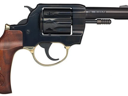 HENRY GOLDEN BOY 22LR BIRDSHEAD 4 10RD