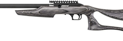 MR SWITCHBOLT 22LR 17 GRAPHITE PEPPER LAM