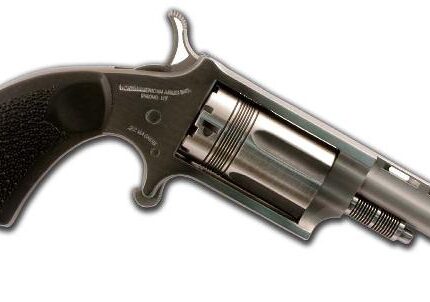 NORTH AMERICAN ARMS THE WASP 22M/22L REV 1-5/8" SS