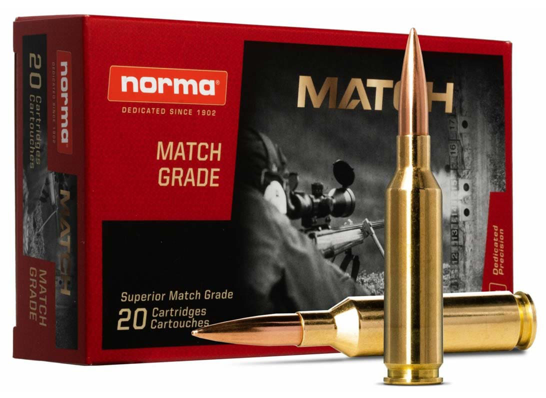 NORMA GOLDEN TGT 338MAG 250GR BTHP 20/10