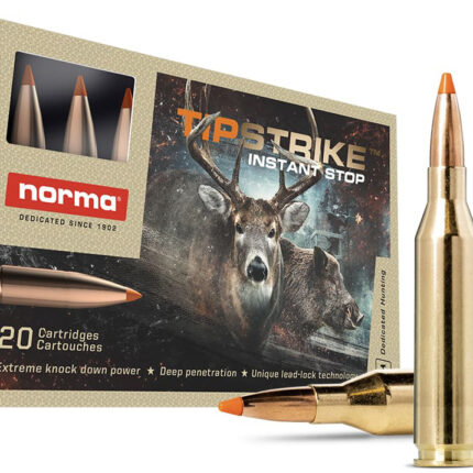 NORMA TIPSTRIKE 243WIN 76GR 20/10