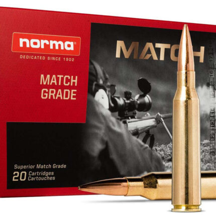 NORMA GOLDEN TARGET 338MAG 300GR BTHP 20/10