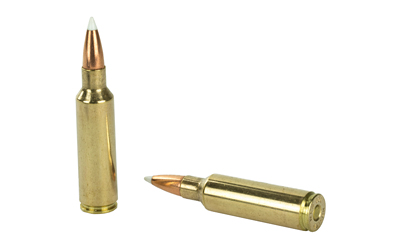 NOSLER 300WSM 180GR AB 20/200 - Image 4