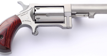 NORTH AMERICAN ARMS SIDEWINDER 22MAG 2.5" SS