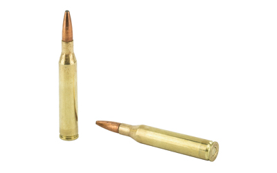 REM 25-06REM 120GR PSP CL 20/200 - Image 4