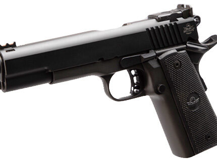 RIA TCM STANDARD 22TCM 5 FULLSIZE 17RD