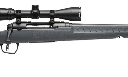 SAV AXIS 2 XP GRAY 25-06REM 22