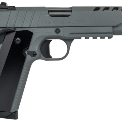 TISAS 1911 NIGHT STALKER 45 45ACP 5 GREY 2 8RD