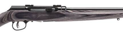 SAVAGE ARMS A17 TARGET 17HMR BL/LAM 22"