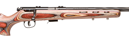 SAVAGE ARMS 93 BOLT 22MAG BL/LAM SPIR FLT#