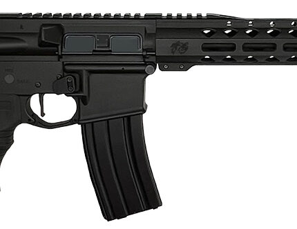 T6 GOAT SERIES DIABLO TCS 223WYLDE 16 MLOK