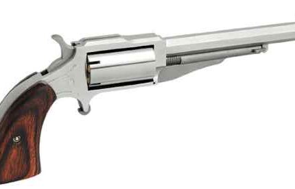 NORTH AMERICAN ARMS THE EARL 22LR/22MAG 4" SS 5SH#