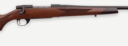 WBY VANGUARD 2 270WIN 24 TB SPORTER