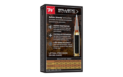 WIN BLSTC TIP 3006SP 180GR 20/200 - Image 2