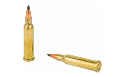 WIN 17 HORNET 20GR VARMINT XP 20/200 - Image 4