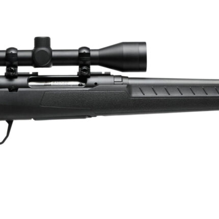 SAVAGE ARMS AXIS CPT 308WIN BL 20" PKG