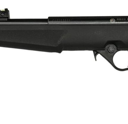 ROSSI RB22 22LR BLK/SYN FLAG 16.5" #