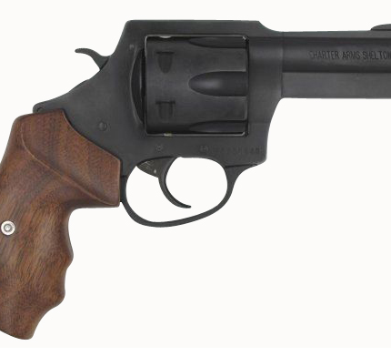 CHARTER ARMS THE PROFESSIONAL 357MAG 4.2"