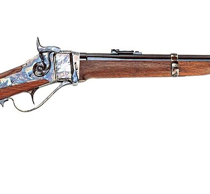 CHIAPPA FIREARMS 1874 SHARPS 45-70 CCH/WD 22"