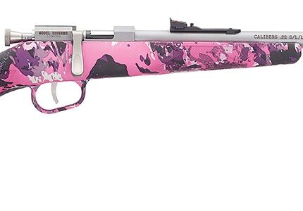 HENRY REPEATING ARMS H5 MINI BOLT G2 22LR SS/MUDDY