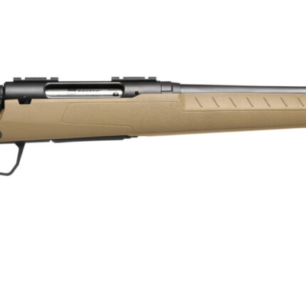 SAVAGE ARMS AXIS 2 CPT 243REM BL/FDE 20" #