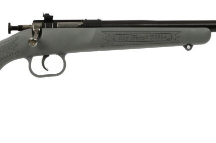 KEYSTONE SPORTING ARMS CRICKETT 22LR BL/GRY