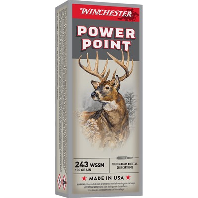 POWER-POINT 243 WSSM 100GR SOFT POINT TIP 20/BOX