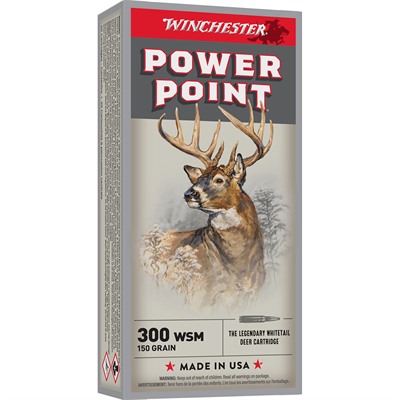 300 WSM 150GR POWER-POINT 20/BOX