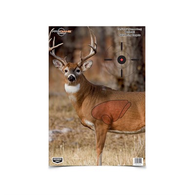 BC PREGAME 16.5 X 24 WHITETAIL TARGET 3 PK