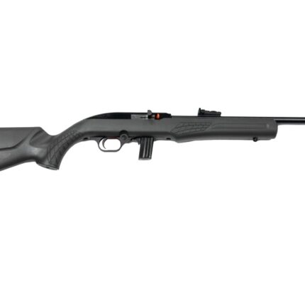 ROSSI RS22 22LR BLK/GRAY 18" 10+1 #