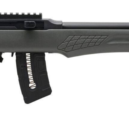 ROSSI RS22 22MAG BLK/GRAY 21" 10+1