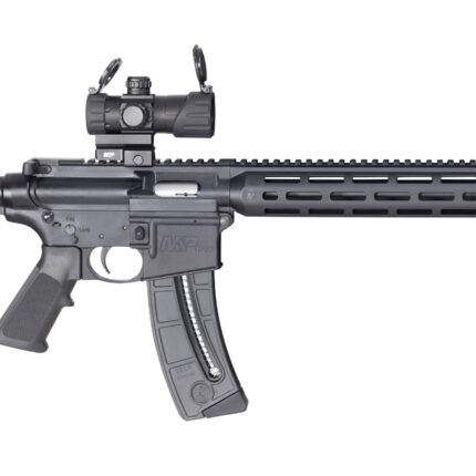 SMITH AND WESSON M&P15-22 SPORT OR 22LR 25+1