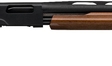 WINCHESTER SXP FIELD CPT 20/22 BL/WD 3"