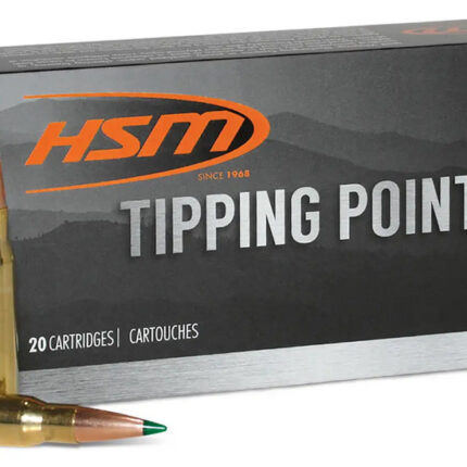 HSM TIPPING POINT 2 6MM ARC 95GR SST 20/25